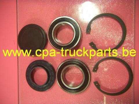 Roulement  SKF 6006/32-2RS/C3 KIT Bearing