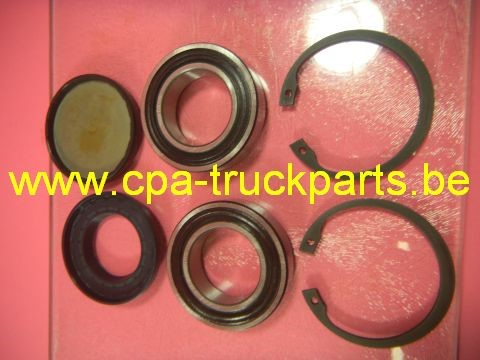 Roulement  SKF 6006/32-2RS/C3 KIT Bearing